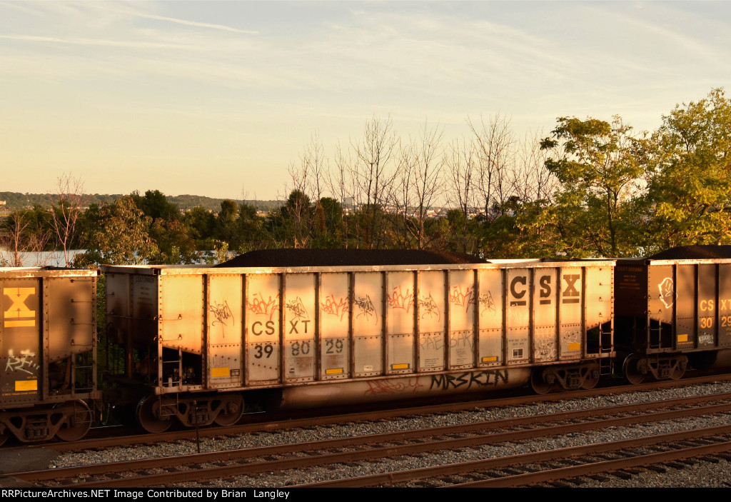 398029
